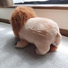 シャクレプラネットの画像