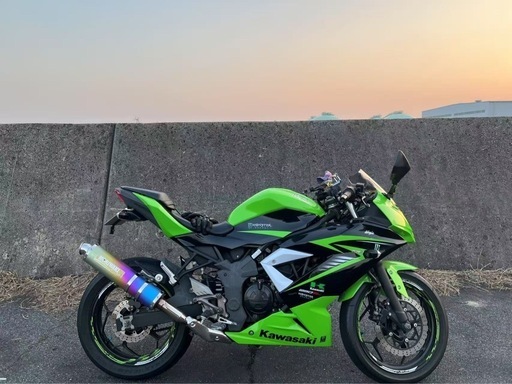 カワサキ　ニンジャ250sl