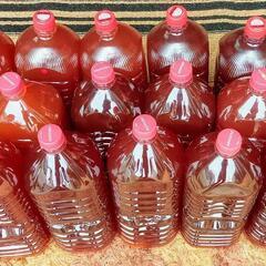 7/3〜7/5限定で引き渡し可能！超濃厚PSB 光合成細菌 活バクテリア500mL〜　熱帯魚.メダカ.金魚.家庭菜園や観葉植物と様々な用途へ！の画像