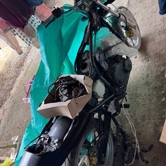 ジェイド250