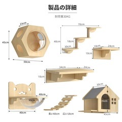 キャットウォークの画像