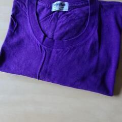 Tシャツの画像