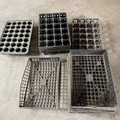 育苗トレーの画像
