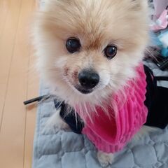 愛情持って可愛がって欲しい