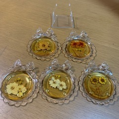 押し花のデザインのブラスティックのコースター中古品