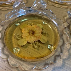 押し花のデザインのブラスティックのコースター中古品の画像
