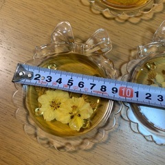 押し花のデザインのブラスティックのコースター中古品の画像