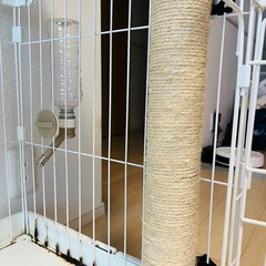 ペットケージの画像