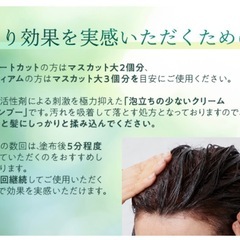 BOTANICAL カラーシャンプー ダークブラウン 200ml 2本セットの画像