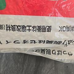 猫の砂の画像