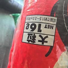 猫の砂の画像
