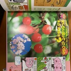 絵本 セット 幼稚園11冊の画像