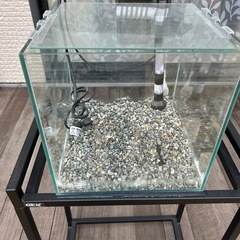 30㎝キューブ水槽とGEX水槽台のセット (フクロウ) 長岡のその他