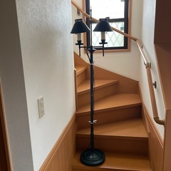 スダンドライト