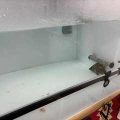 アクリル水槽セット　の画像
