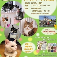 高槻市で開催！☆日吉台☆「ねこの譲渡会＆チャリティグッズ販売」