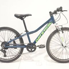 DAIWA SYCLE DIRTRAIL ジュニア 24インチ ...