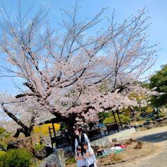 友達になって下さる方募集します☆(^o^)☆