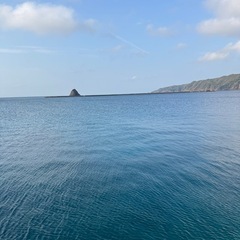 鹿児島　エギングメンバー募集