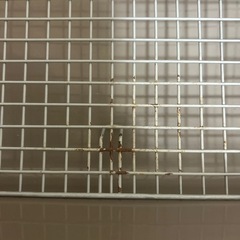 小動物　うさぎ　ケージの画像