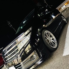 カスタム美車　本革シート　e52 エルグランド　2.5 ライダー...