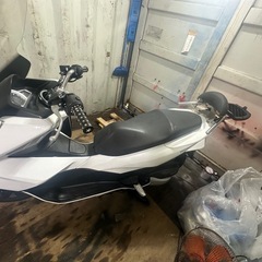 pcx jf56 最終値下げの画像