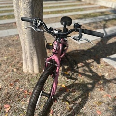 MARIN DONKY Jr 20 （マットピンク）の画像