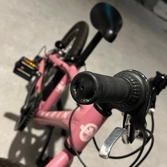 MARIN DONKY Jr 20 （マットピンク）の画像