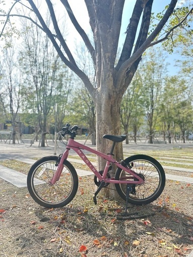 MARIN DONKY Jr 20 （マットピンク）