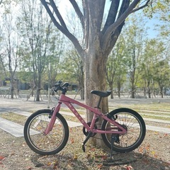 MARIN DONKY Jr 20 （マットピンク）