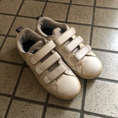 靴　　　adidas  アディダス
