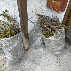決まりました。【非対面受け渡し 無料です】 薪代わり 細い枝 庭...