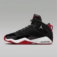 エアジョーダン29センチ
の画像