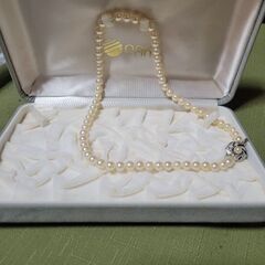 OAKシルバーパールネックレス