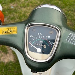 カブ 70 カモメ
の画像