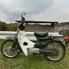 カブ 70 カモメ
の画像