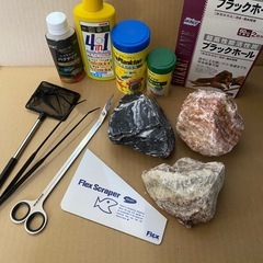 【受渡先決定】水槽も込で無料！これからアクアリウムを始めたい、している方に！の画像
