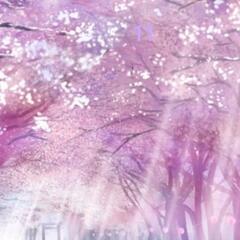 堺市で4/2611時~霊視します。