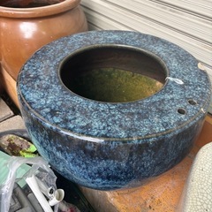 めだか鉢の画像