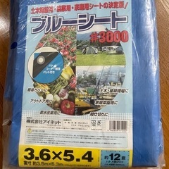 ブルーシート
