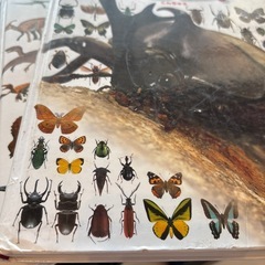 小学館の図鑑　NEO　魚　恐竜　昆虫の画像