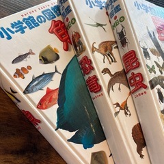 小学館の図鑑　NEO　魚　恐竜　昆虫