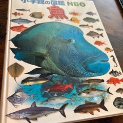 小学館の図鑑　NEO　魚　恐竜　昆虫の画像