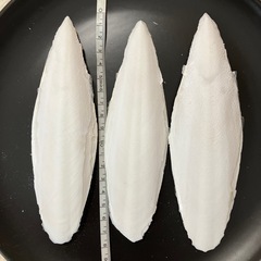 カトルボーン特大3枚　　カットルボーン　カルトボーン