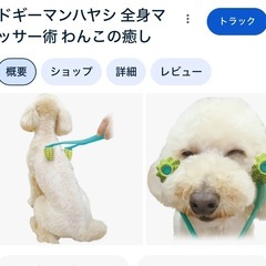 ドギーマンハヤシ 全身マッサー術 わんこの癒し