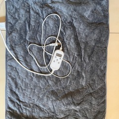 【TVぐるナイで紹介】 家庭用サウナ の画像