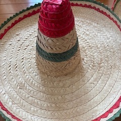 メキシカンハットの画像