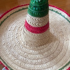 メキシカンハットの画像