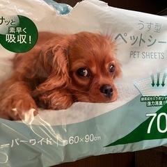 ペットシーツ　スーパーワイド35枚