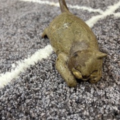 ねこの置物の画像